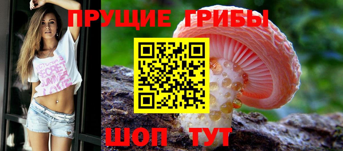 Галлюциногенные грибы Cubensis Хабаровск